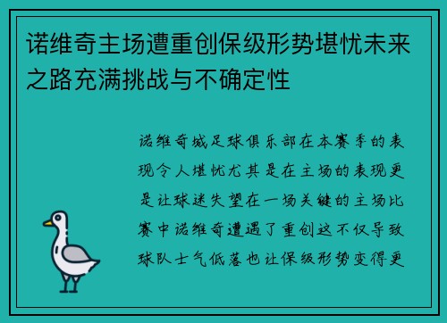 诺维奇主场遭重创保级形势堪忧未来之路充满挑战与不确定性