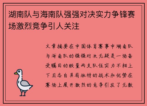 湖南队与海南队强强对决实力争锋赛场激烈竞争引人关注