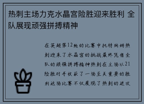 热刺主场力克水晶宫险胜迎来胜利 全队展现顽强拼搏精神