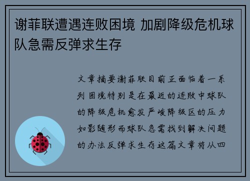 谢菲联遭遇连败困境 加剧降级危机球队急需反弹求生存