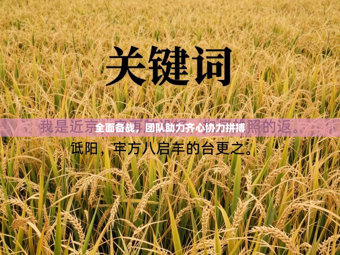 全面备战,团队助力齐心协力拼搏 第1张